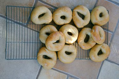 Sourdough Bagels freshly out of the oven laid on cooking racks on a tile floor to cool them in time for breakfast