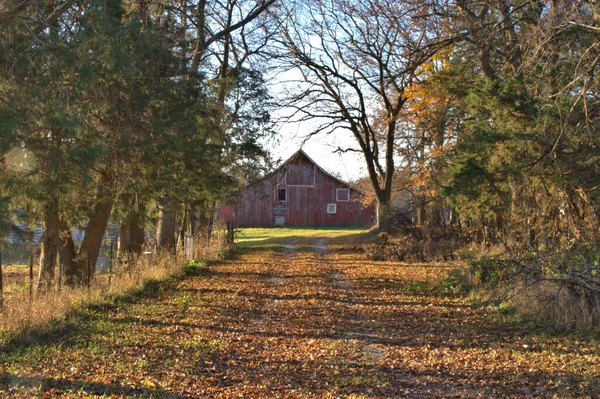 初秋の色に囲まれた赤い納屋につながるドライブウェイの秋の葉 — ストック写真
