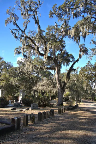 Tombstones Grave Site Bonaventure Cemetery Savannah Georgia Live Oak Trees — Foto de Stock