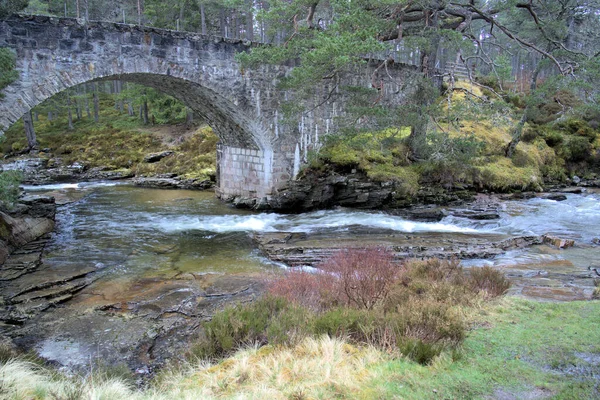Каменный Арочный Мост Красочным Шотландским Ручьем Внизу Ранней Весной Облачным — стоковое фото