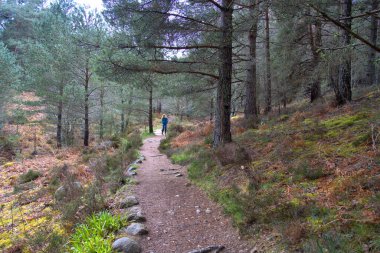 Abohne, İskoçya 'daki Burn O' Vat Parkı