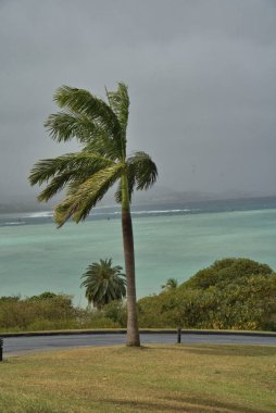 Güçlü rüzgar St. Croix adasını vuruyor.