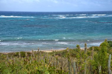 Stormy sea along the island of St Croix in the Virgin Islands clipart