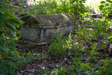Tarihsel taş tabut yemyeşil bitki örtüsünün arasında kayboldu.