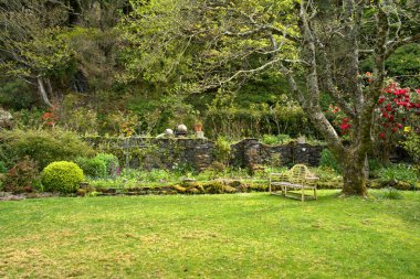 İskoçya kırsalında bir bahçenin renkli manzarası
