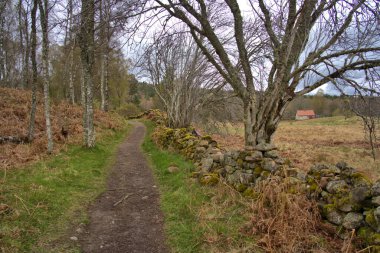 Uzak kırsal İskoçya 'da, arka planda çiftlik binaları olan bulutlu gökyüzünün altında taş çitler..