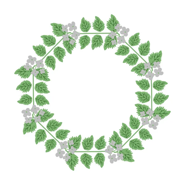 Decorative Vector Floral Frame Alliaria — Stock Vector