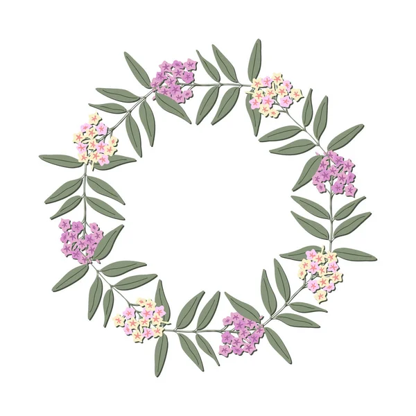 フロックスと装飾ベクトルの花のフレーム — ストックベクタ