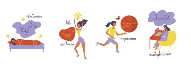 Neurotransmitter illustrations set, action of melatonin, serotonin, dopamine, acetylcholine
