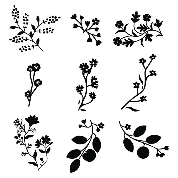 Conjunto Decorativo Vectorial Floral Aislado — Vector de stock