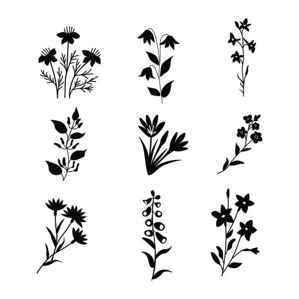 Ensemble Décoratif Isolé Vecteur Floral — Image vectorielle