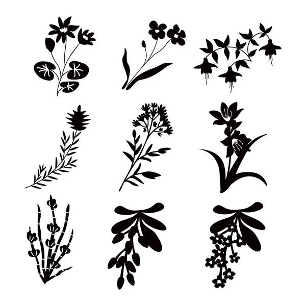 Isolated Floral Vector Decorative Set — Stock Vector