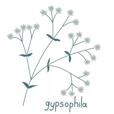 Çiğneme basit vektör izole çizimi