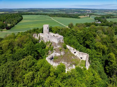 Polonya 'nın Smolen kentindeki ortaçağ şatosunun kalıntıları kayalık tepenin üzerinde, yoğun bir orman ile çevrili.