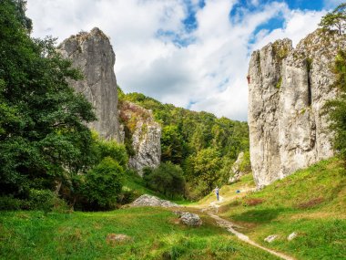 Bolechowice, Polonya. Brama Bolechowicka Kapısı, vadinin ve kanyonun girişi yüksek sarp kayalar, popüler tırmanma alanı ve iki tanınmaz halat koruyuculu tırmanışçı.