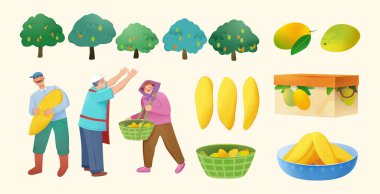 Kurutulmuş mango, meyve dilimi ve resimli karakterler, meyve çiftçileri, mango, kurutulmuş mango, meyve ürünü ambalajı ve mango ağacı içerir. 