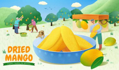 Minyatür meyve çiftçilerinin kurumuş mango dilimleri taşıdığı ve ağaçtan olgun mango topladığı bir resim. Tropik kurutulmuş meyve ürünleri reklam şablonu