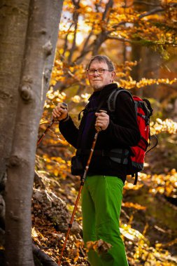 Sonbahar ormanlarında gezen yetişkin turistler, Slovak Mala Fatra dağlarında çekilen fotoğraf, Biely Potok 'tan Maly Rozsutec' e giden yol.