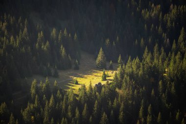 Slovak Mala Fatra dağlarında Biely Potok 'tan Maly Rozsutec' e güzel bir yol. Güneşli sonbahar manzarası.