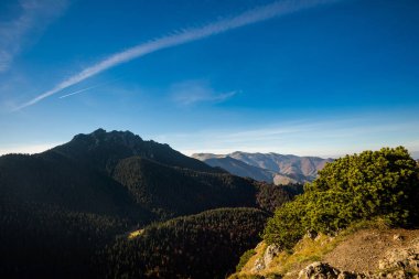 Slovak Mala Fatra dağlarında Biely Potok 'tan Maly Rozsutec' e güzel bir yol. Güneşli sonbahar manzarası.