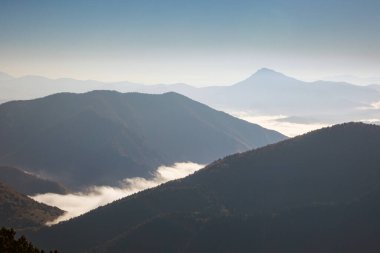 Slovak Mala Fatra dağlarında Biely Potok 'tan Maly Rozsutec' e güzel bir yol. Güneşli sonbahar manzarası.