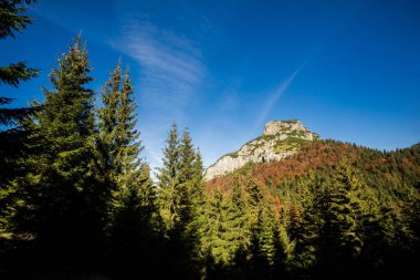 Slovak Mala Fatra dağlarında Biely Potok 'tan Maly Rozsutec' e güzel bir yol. Güneşli sonbahar manzarası.