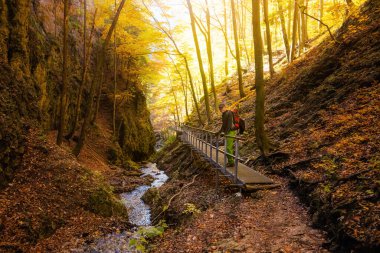 Maly Rozsutec 'e giden güzel bir yol Biely Potok' tan Nove, Horne, Janosikove Diery, Slovakya 'daki Mala Fatra dağlarında. Güneşli sonbahar manzarası.