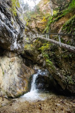 Maly Rozsutec 'e giden güzel bir yol Biely Potok' tan Nove, Horne, Janosikove Diery, Slovakya 'daki Mala Fatra dağlarında. Güneşli sonbahar manzarası.