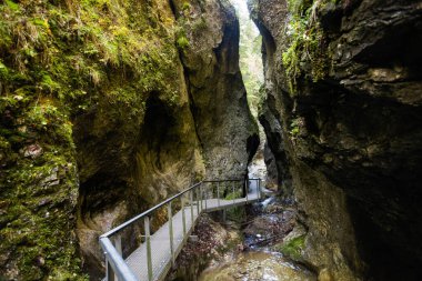 Maly Rozsutec 'e giden güzel bir yol Biely Potok' tan Nove, Horne, Janosikove Diery, Slovakya 'daki Mala Fatra dağlarında. Güneşli sonbahar manzarası.