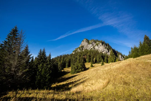 Beautiful Path Maly Rozsutec Biely Potok Slovakian Mala Fatra Mountains — Stock Photo, Image