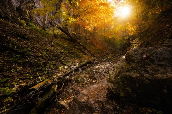 Slovak Mala Fatra Dağlarında Biely Potok Tan Maly Rozsutec Güzel — Stok fotoğraf