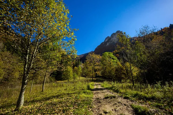 从Biely Potok到Nove Horne Janosikove Diery的美丽道路 在Slovakian Mala Fatra山 阳光灿烂的秋天全景 — 图库照片