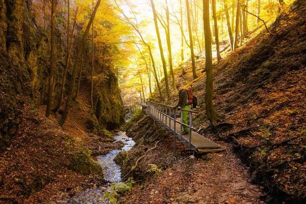 スロヴァキアのマラFatra山の中で Biely PotokからNove Horne Janosikove Dieryへの美しいパス 秋晴れのパノラマ ストック画像