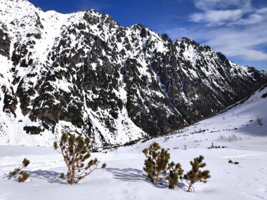 Beautiful panorama in winter Tatry mountains, Five Lakes Valley, Dolina Pieciu Stawow with snow. Phone photo