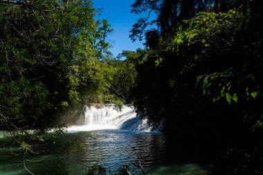 Roberto Barrios Cascadas Parkı, Palenque, Meksika 'da güzel bir doğa. Güneşli bir günde yemyeşil ve kristal suyla dolu canlı manzara fotoğrafı.