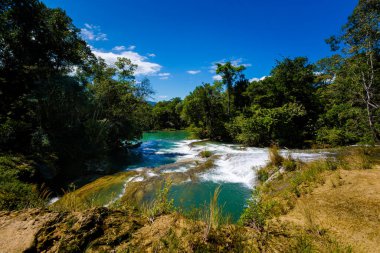 Roberto Barrios Cascadas Parkı, Palenque, Meksika 'da güzel bir doğa. Güneşli bir günde yemyeşil ve kristal suyla dolu canlı manzara fotoğrafı.