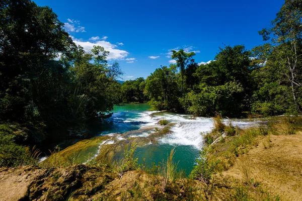 로베르토 바리오스 카디스 공원의 아름다운 자연은 멕시코의 렝케에 있습니다 날푸르른 — 스톡 사진