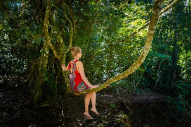 Roberto Barrios Cascadas parkında, Palenque, Meksika 'da bir ağaçta oturan güzel bir kadın. Güneşli bir günde yemyeşil renkli canlı manzara fotoğrafı.