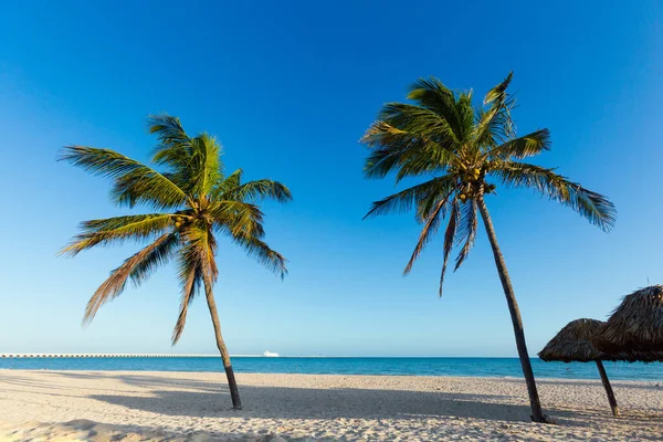 Пляж Прогресо Мексике Солнечный День Белый Пляж Пальмами Голубым Небом — стоковое фото