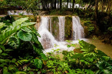 Meksika, Palenque 'deki Agua Azul şelaleleri parkının güzel manzarası. Canlı manzara fotoğrafı..
