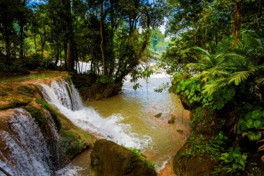 Meksika, Palenque 'deki Agua Azul şelaleleri parkının güzel manzarası. Canlı manzara fotoğrafı..