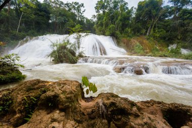 Meksika, Palenque 'deki Agua Azul şelaleleri parkının güzel manzarası. Canlı manzara fotoğrafı..