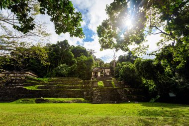 Meksika 'daki Palenque arkeolojik sahasında güzel piramitler. Canlı manzara fotoğrafı..