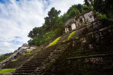 Meksika 'daki Palenque arkeolojik sahasında güzel piramitler. Canlı manzara fotoğrafı..