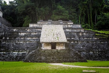 Meksika 'daki Palenque arkeolojik sahasında güzel piramitler. Canlı manzara fotoğrafı..