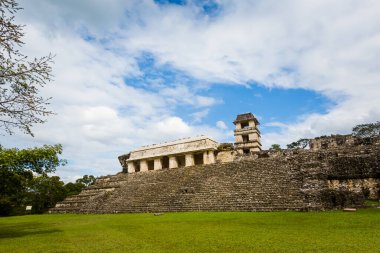 Meksika 'daki Palenque arkeolojik sahasında güzel piramitler. Canlı manzara fotoğrafı..