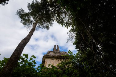 Meksika 'daki Palenque arkeolojik sahasında güzel piramitler. Canlı manzara fotoğrafı..
