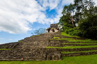 Meksika 'daki Palenque arkeolojik sahasında güzel piramitler. Canlı manzara fotoğrafı..