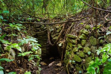Meksika 'daki Palenque arkeolojik sahasında güzel piramitler. Canlı manzara fotoğrafı..