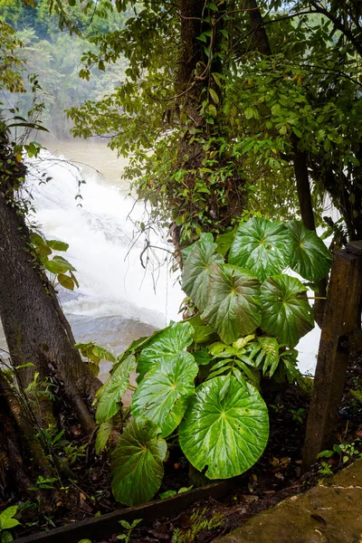 Bela Paisagem Parque Cascatas Água Azul Palenque México Paisagem Vívida — Fotografia de Stock